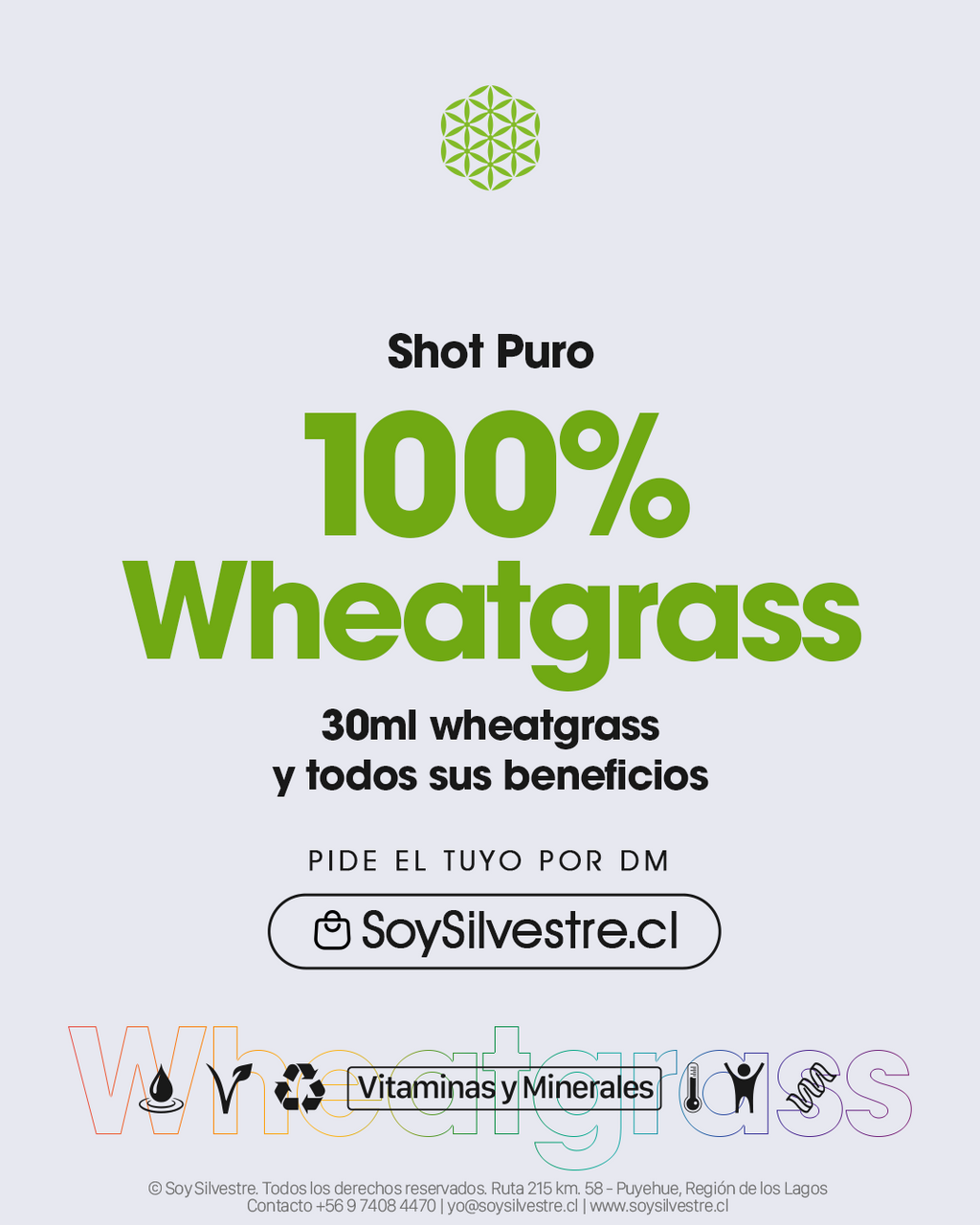 Pack Puro – Shots de brotes de trigo prensados en frío