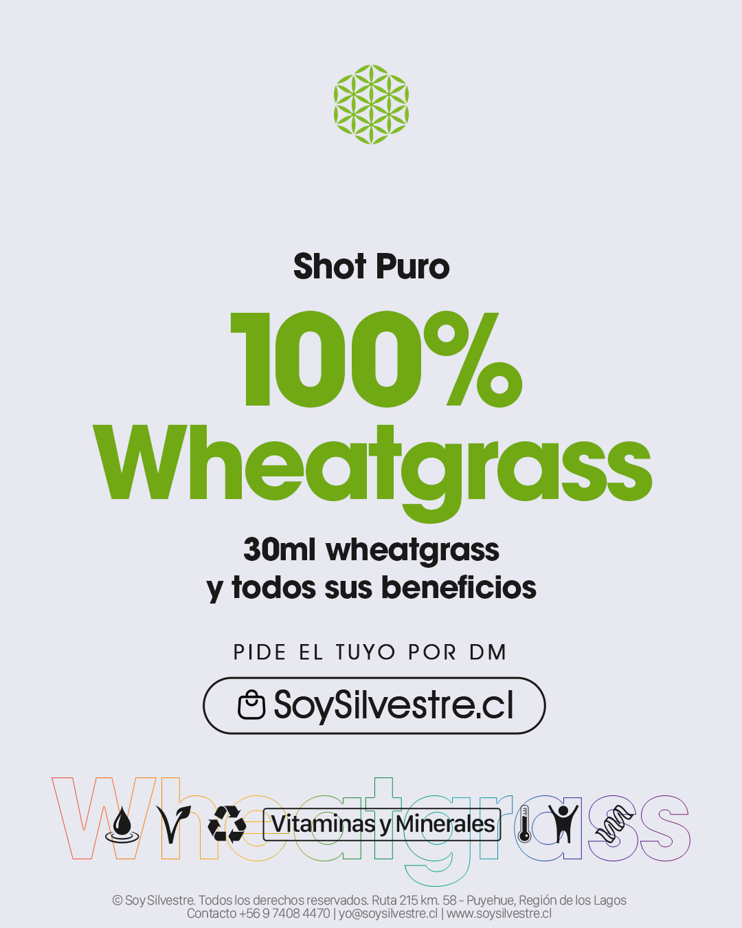 Pack Puro – Shots de brotes de trigo prensados en frío