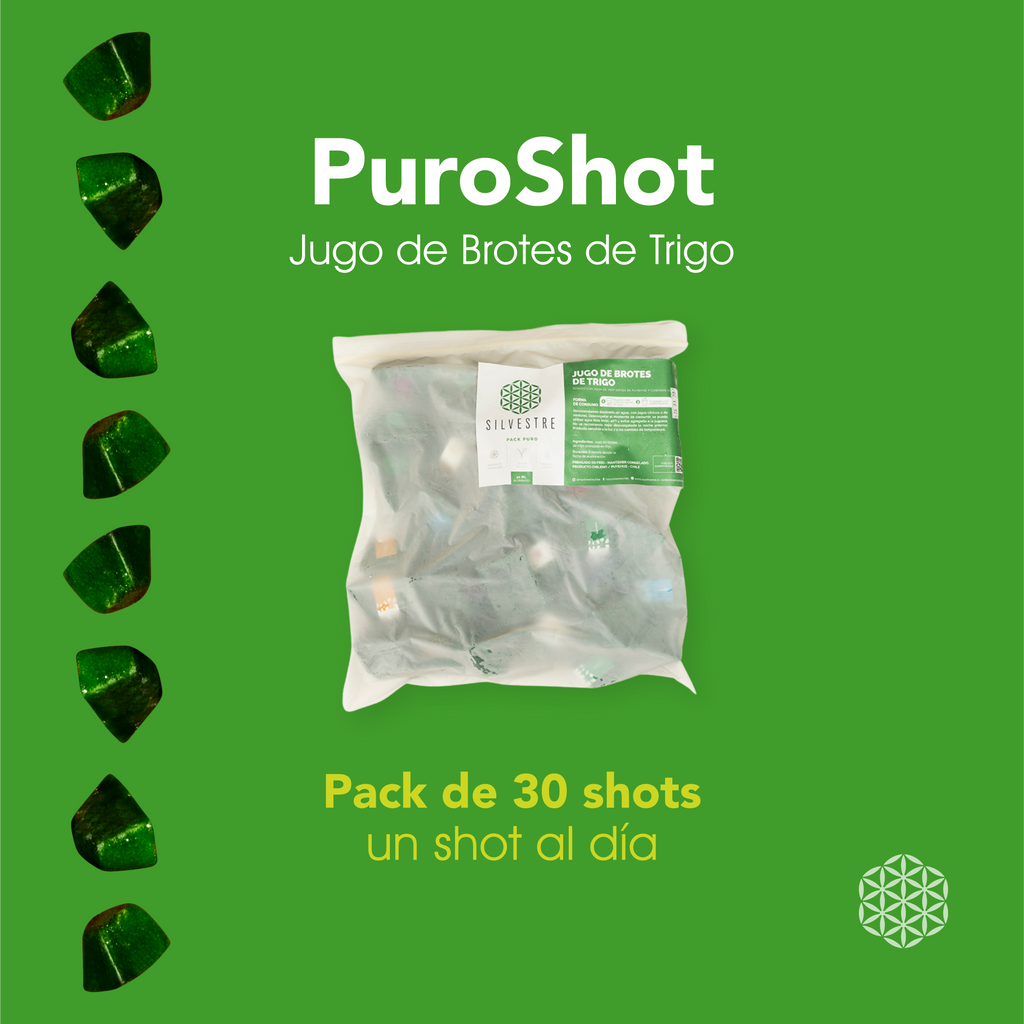 Pack Puro – Shots de brotes de trigo prensados en frío